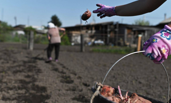 Женщинам перечислили правила безопасной работы на даче